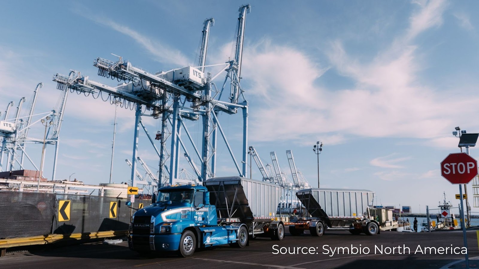 savage symbio hydrogen